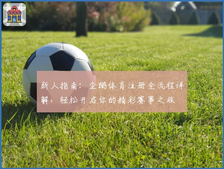新人指南：企鹅体育注册全流程详解，轻松开启你的精彩赛事之旅