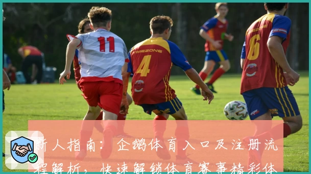 新人指南：企鹅体育入口及注册流程解析，快速解锁体育赛事精彩体验