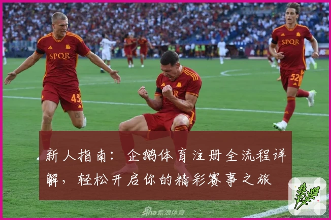 新人指南：企鹅体育注册全流程详解，轻松开启你的精彩赛事之旅
