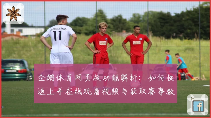 企鹅体育网页版功能解析：如何快速上手在线观看视频与获取赛事数据的使用指南