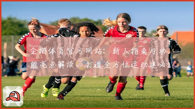 企鹅体育官方网站：新人指南与功能亮点解读，打造全方位运动迷必备平台